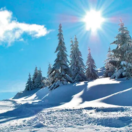 Domek alpejski Jelena - Crni Vrh